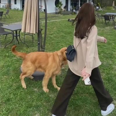 咸鱼哥第二季